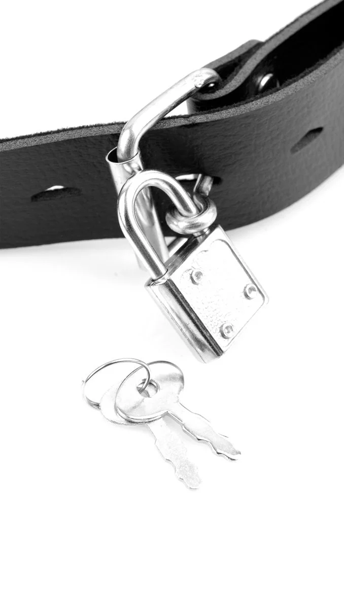 Deluxe Ball Gag Met Dildo